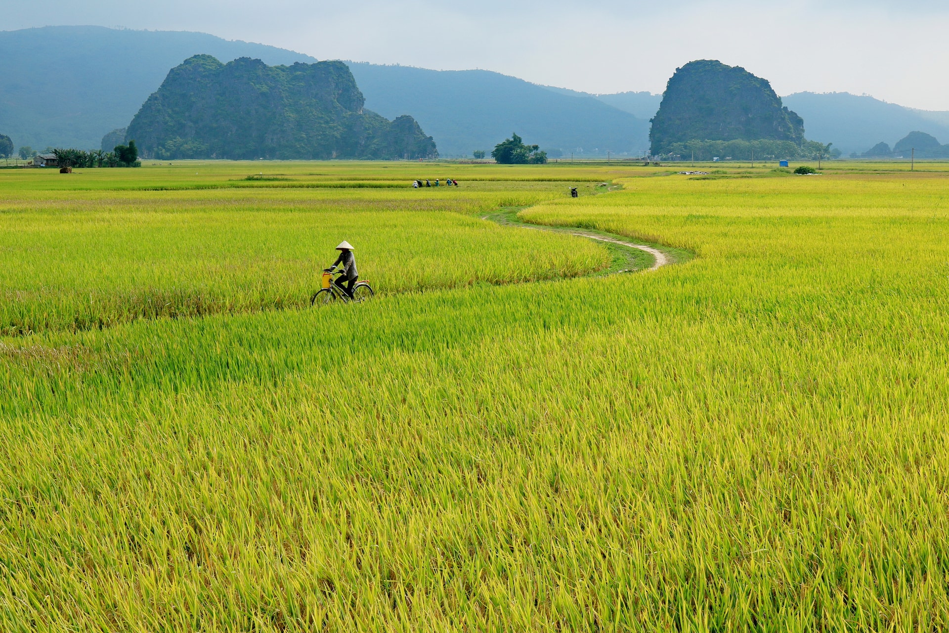 Thanh Hóa - Miền quê yên bình nơi Quỳnh sinh ra và lớn lên 